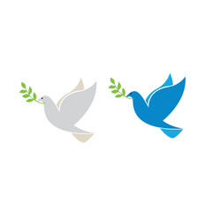 bird vector illustration design