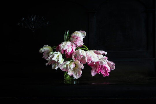 Vase with pink blooming Silver Parrot tulips standing on piano