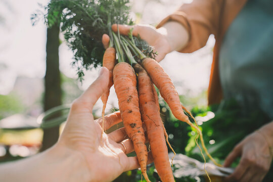 Woman buying fresh carrots from vendor at local market