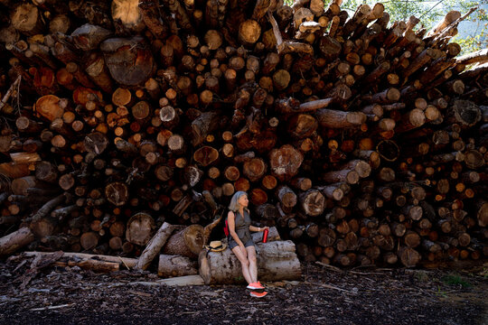 Senior woman sitting on log in front of stack of wood