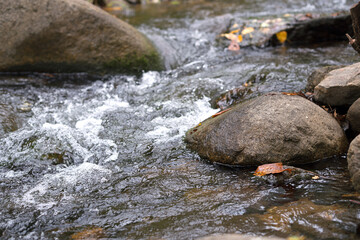 The clear mountain stream is flowing
