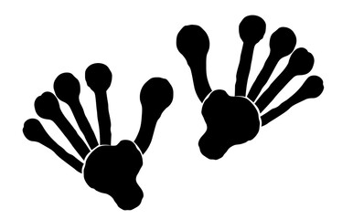 Lemur footprint steps. Vector  silhouette illustration © Yulia Zelinskaya