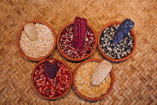 Bowls with different varieties of corn grains