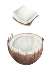 Watercolor coconut isolated.