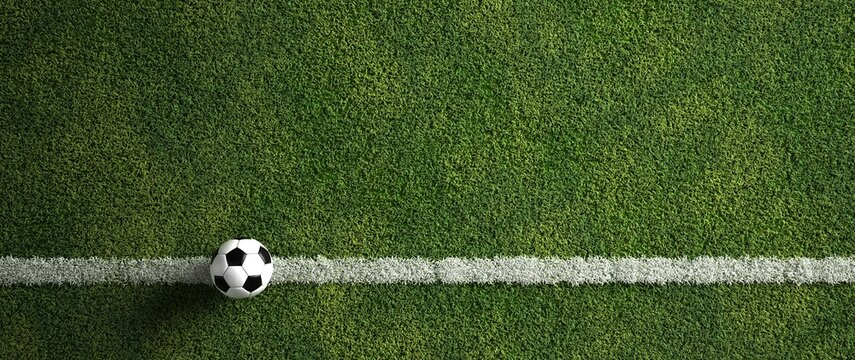 Fussball auf dem Rasen