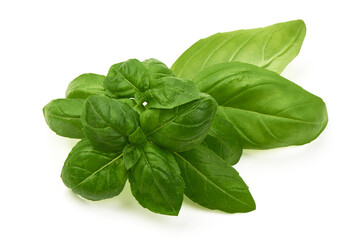 Organic Basil leaves, isolated on white background. High resolution image.