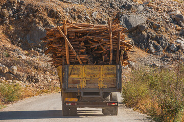 Truck body with firewood branches and tree trunks loaded and ready for transportation. Serpentine...