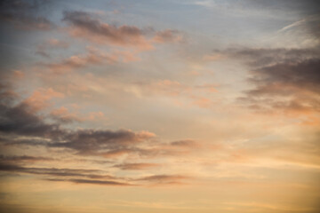 20221017_MG_0289