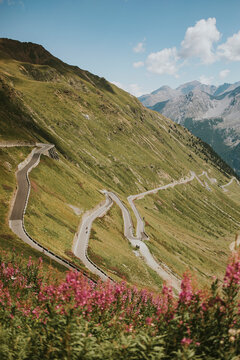 Italy, View of Stelvio Pass in summer