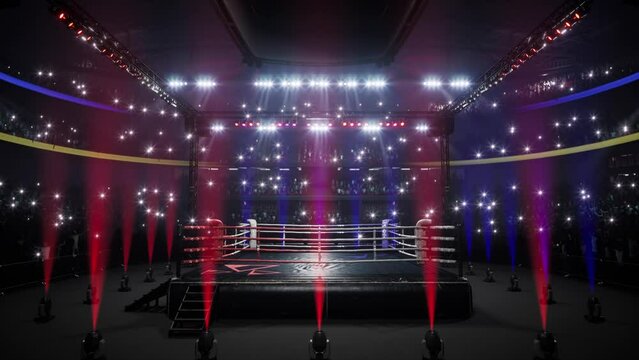 empty boxing arena with crowd animation. High quality 4k footage
