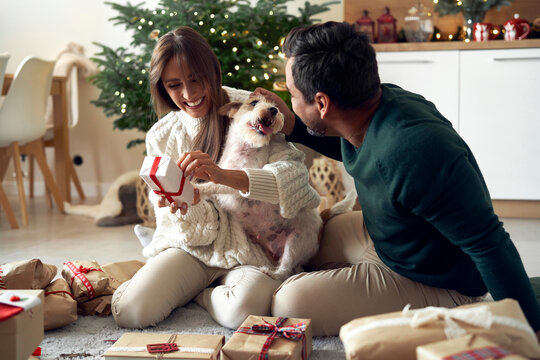 Happy multi ethnicity couple spending Christmas with dog at home