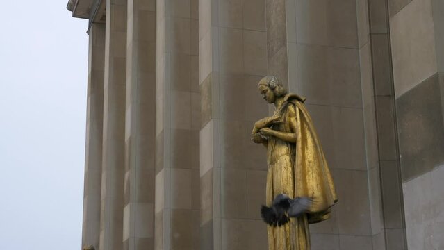 Close up pigeon soars from the statue in the trocadero square. City of Paris. Video 4K