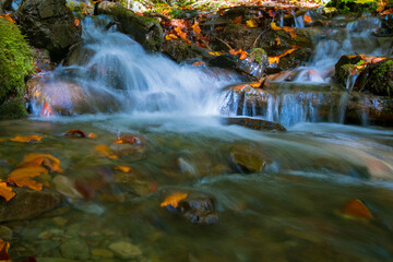 Fototapeta na wymiar water flow in the forest, autumn landscape. water in slow motion
