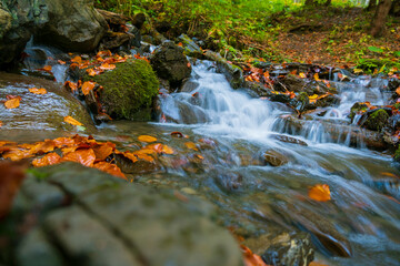 water flow in the forest, autumn landscape. water in slow motion