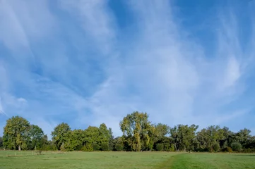 Fototapete Hiking trail, Olst, Den Nul, Overijssel province, The Netherlands © Holland-PhotostockNL