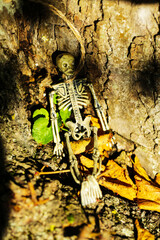 Skelett liegend am Baum, Happy Halloween
