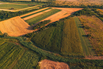 Aerial shot of countryside landscape with cultivated crop fields from drone pov in summer sunset....
