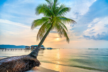 Tropical beach with palm on beautiful sandy beach in Phu Quoc island, Vietnam, sunset sky. This is one of the best beaches of Vietnam.