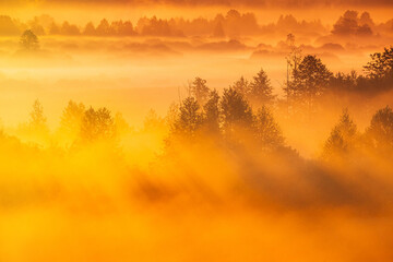 Mysterious Morning Time. Enchanted Morning Sun Shines On Plain. Sunrise Natural Background. Aerial View Amazing Misty Plain Landscape. Morning Fog Illuminated By Sun Covers Plain Landscape.