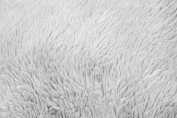 White fluffy fur fabric wool texture background