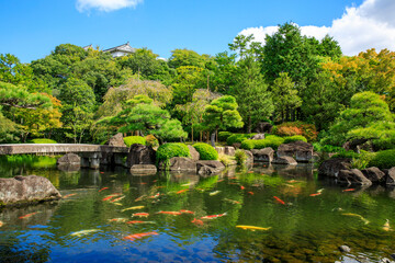 Fototapeta na wymiar 池と木々が美しい日本庭園の風景
