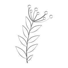 A twig of a plant and a flower with a thin line. Vector on a white background