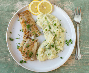 Pan fried fish fillet with kohlrabi puree on a plate. Healthy low carb meal