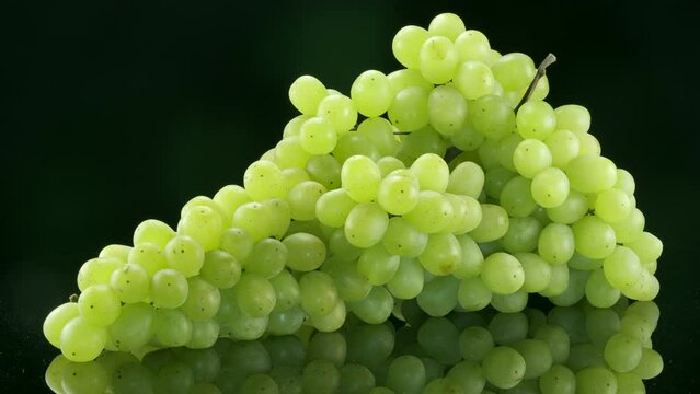 Big bunch of white grapes on black background. Rotation 360 degrees