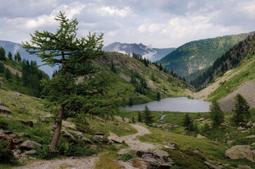 Lakes of San Bernolfo and Colle Lounge, beautiful hiking path between the french Alps and Piedmont (Italy) near the Collalunga Pass - 538850963