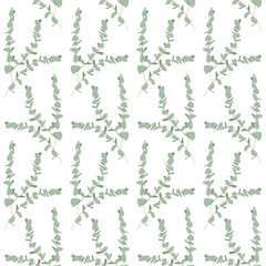Boho seamless pattern with eucalyptus branches on white background.