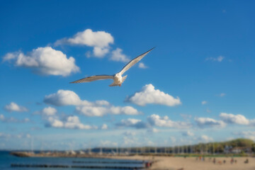 Ostseebad Kühlungsborn