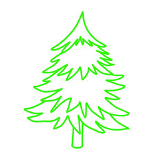 Spruce