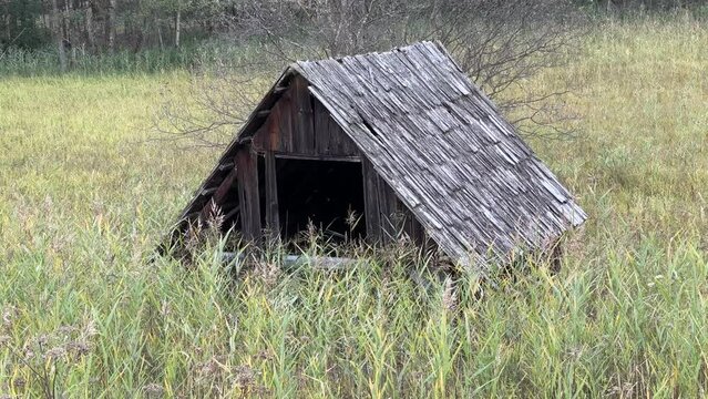 old hay barn in reed belt