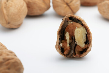 walnut isolate on white