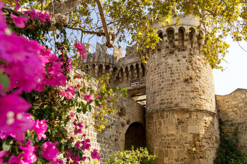 Fototapeta premium View through the flowers on the ancient fortress in the old town on the island of Rhodes in Greece