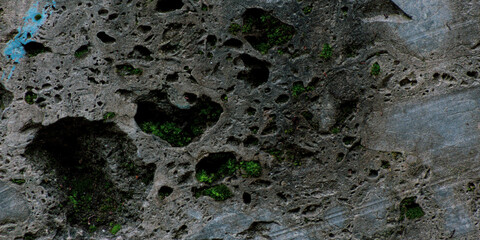 moss on a cut stone or blue turquois mineral conglomerate