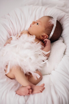 sweet newborn baby girl in dress with feathers