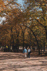 Fototapeta premium automne jardin luxembourg