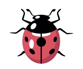 Red and black ladybug icon. Insect top view, biology. Nature and wild life. Symbol of summer and spring seasons. Sticker for social networks and instant messengers. Cartoon flat vector illustration