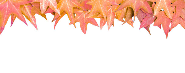 feuilles automne decoration