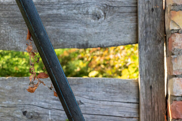 Plastic water pipe in black color with blue lines. Scratched and damaged. With spider webs. leaves and debris near it. In the background, a wooden fence, a brick post, and green bushes in the sun.