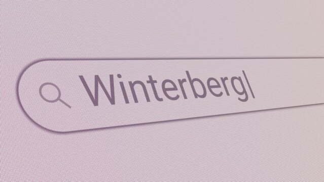 Search Bar Winterberg 
Close Up Single Line Typing Text Box Layout Web Database Browser Engine Concept