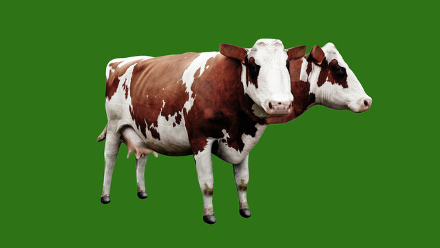 Mutant Cow Isolated On Green Background