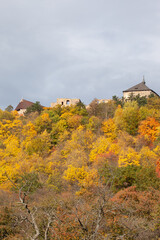 An old castle emerges from the autumnal forest.The roofs of the castle emerge from the forest in yellow orange red green colors, creating patches of color contrasting enormously with the overcast sky.