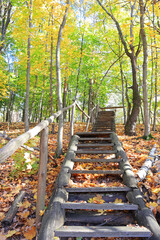 Autumn landscape with stairs in sunny day in Nature Park "Beremitskoye" in Chernihiv region, Ukraine	