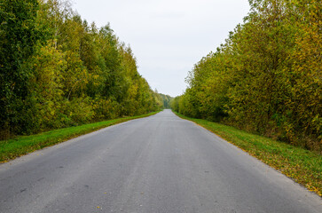 Fototapeta premium Asphalt road goes into the distance through the autumn forest in russia.