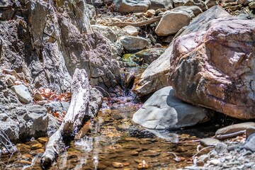 An overlooking view of Madera Canyon, Arizona