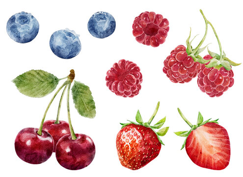 Set of watercolor berries - strawberry, cherry, blueberry and raspberry isolated on white background.