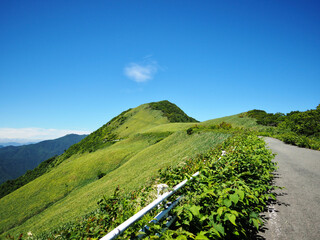 西日本一の石鎚山へと続く天空の道　UFOラインと呼ばれる愛媛県と高知県にまたがる四国の美しい尾根