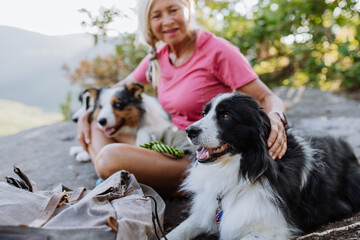 Senior woman having break during walking her three dogs in forest.